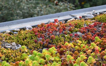 the cost of Brymbo green roof installation