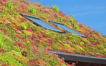 Brymbo living roof systems
